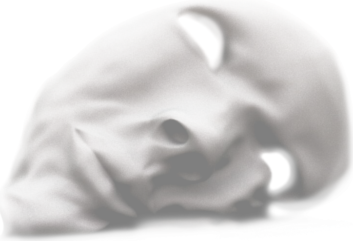 J Powell mask emblem