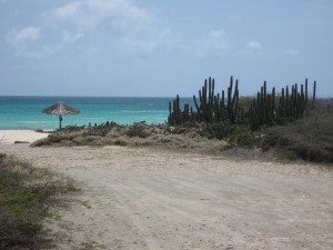 Aruba Vacation 2008