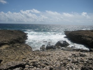 Aruba Vacation 2008