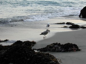 California