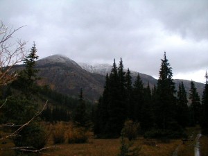 Colorado